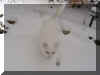 Felix schnee01.jpg (30828 Byte)