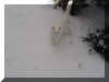 Felix schnee06.jpg (29204 Byte)