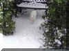 Felix schnee07.jpg (73479 Byte)