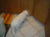 DSC03147.jpg (39546 Byte)