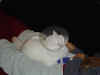 DSC03150.jpg (34580 Byte)