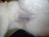 DSC03156.jpg (33952 Byte)