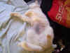 DSC03157.jpg (63556 Byte)