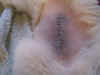 DSC03158.jpg (45600 Byte)