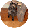 mfrech05.gif (70003 Byte)