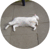ustein03.gif (102780 Byte)