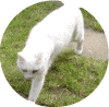 uweg02.gif (80660 Byte)