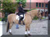 h17.JPG (78329 Byte)