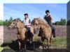 LB10.JPG (72227 Byte)