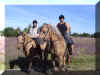 LB12.JPG (69492 Byte)