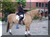 h17.JPG (78329 Byte)