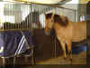DSC04976.JPG (346735 Byte)
