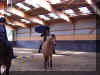 DSC04998.JPG (167888 Byte)