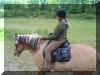 DSC05001.JPG (164542 Byte)