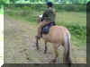 DSC05003.JPG (240280 Byte)