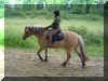 DSC05004.JPG (219295 Byte)