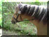 DSC05007.JPG (258758 Byte)