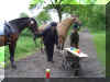DSC05019.JPG (438535 Byte)