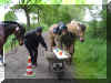 DSC05020.JPG (328904 Byte)