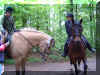 DSC05023.JPG (360504 Byte)