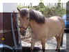 DSC03364.jpg (365141 Byte)