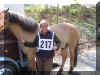 DSC03368.jpg (354800 Byte)