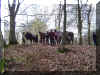 DSC03371.jpg (490362 Byte)