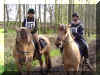 DSC03374.jpg (476721 Byte)