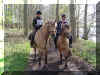 DSC03375.jpg (497140 Byte)