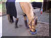 DSC03378.jpg (383769 Byte)