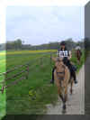 Ralleynehmten13.JPG (302128 Byte)