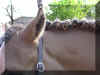 Ralleynehmten5.JPG (366020 Byte)