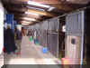DSC03863klein.jpg (67200 Byte)