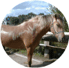 nord2.gif (83562 Byte)