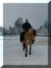 syltschnee11.jpg (43921 Byte)
