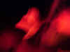 44.JPG (35345 Byte)