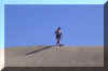 gc51.JPG (24257 Byte)