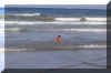 gc62.JPG (47487 Byte)