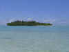 DSC04005.jpg (38997 Byte)