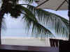 DSC04035.jpg (84336 Byte)