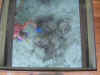 DSC04041.jpg (56032 Byte)