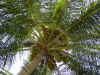 DSC04088.jpg (143598 Byte)