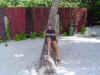DSC04104.jpg (74993 Byte)