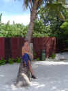 DSC04106.jpg (89496 Byte)