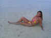 DSC04114.jpg (41344 Byte)