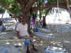 DSC04274.jpg (99090 Byte)
