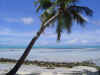 DSC04278.jpg (68146 Byte)