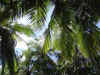 DSC04287.jpg (134000 Byte)