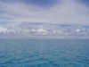 DSC04297.jpg (45547 Byte)
