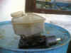 05112005(001).jpg (52314 Byte)